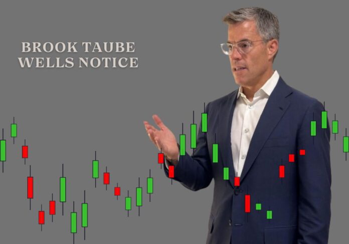 brook taube medley capital